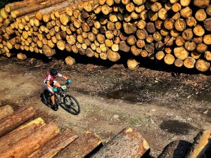 IMG-20190721-WA0088